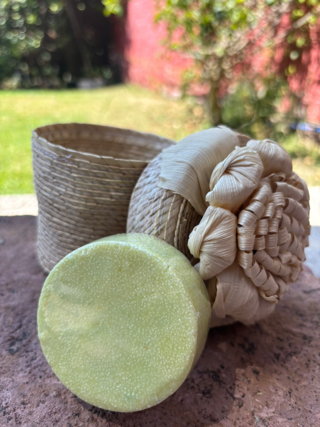 Shampoo Solido con Aloe Vera